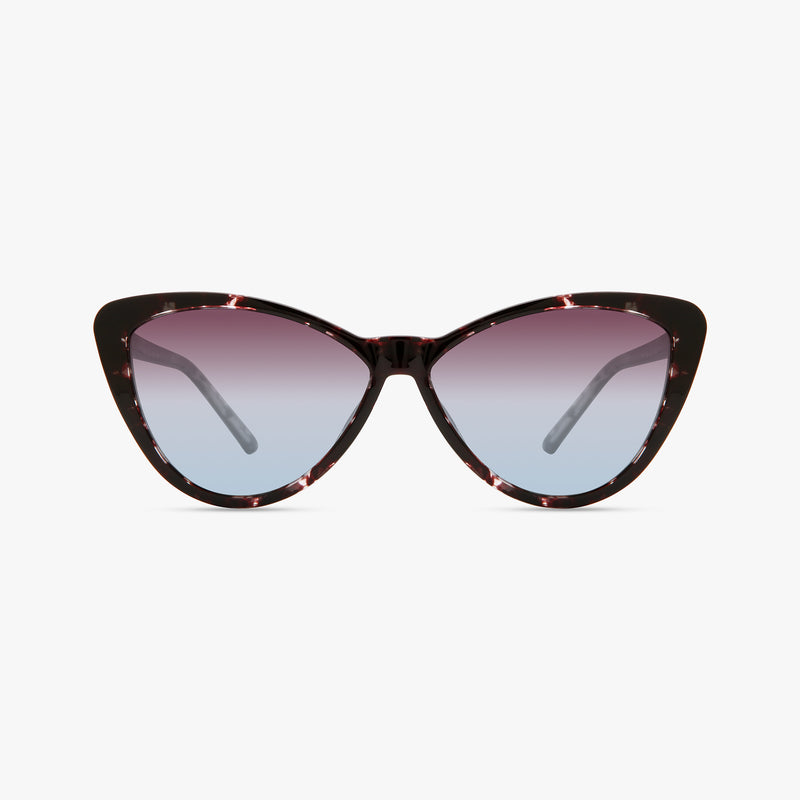 Dark Purple Tortoise