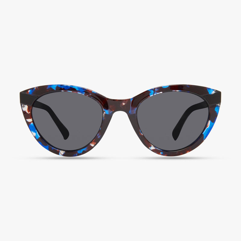 Black Tortoise