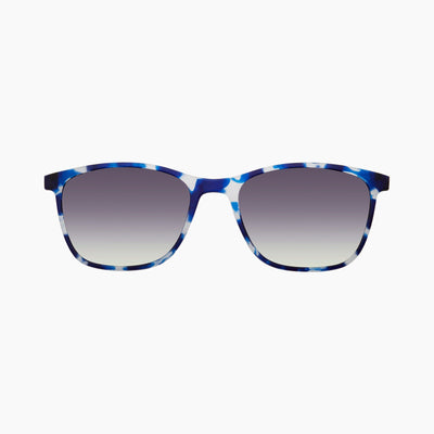 Blue Tortoise