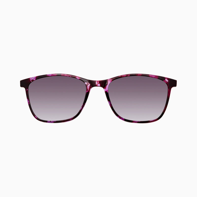 Purple Tortoise